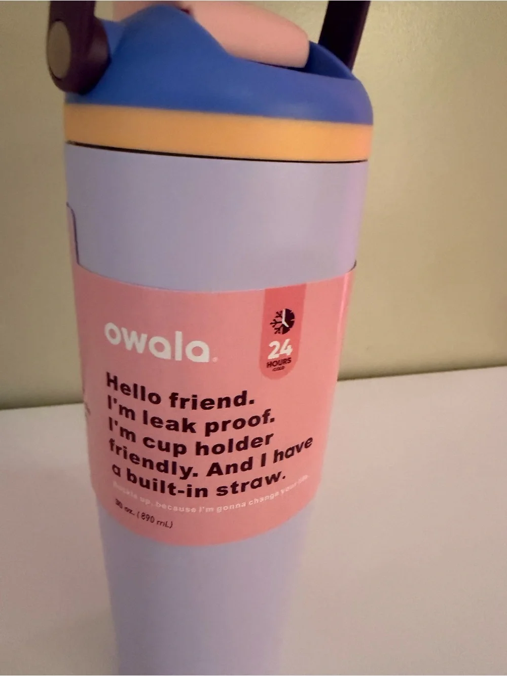 Pastel Pink & Lavender Insulated Travel Bottle with Carry Handle